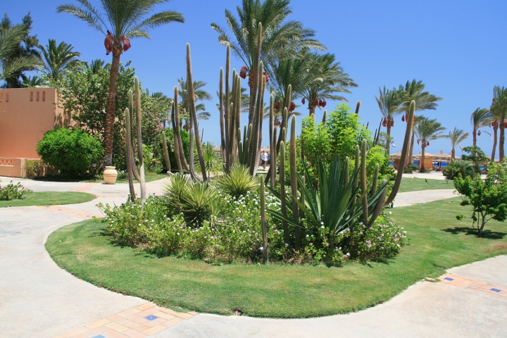 Vakantie Egypte 2010-65.jpg